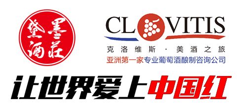 當(dāng)代咨詢視角下，成功紅集團(tuán)如何借助企業(yè)管理咨詢實(shí)現(xiàn)轉(zhuǎn)型升級(jí)